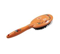 Aurore Beauté - Brosse à Cheveux Démêlante avec Poignée - Bouts Arrondis Doux - Démêle Tous les Types de Cheveux - Brosse Ovale - Fleurs et Oiseaux