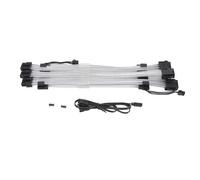 AurSoltriad Câble à Gaine d’Extension ARGB, câble d’Alimentation PSU synchronisé à Double extrémité 3x8 Broches pour boîtier d’Ordinateur, Source de lumière Double colorée avec Fibre Optique