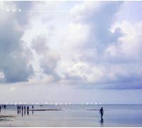 Aus - Light in August Later