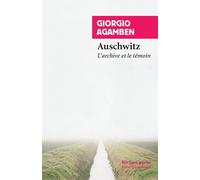 Auschwitz: L'archive et le témoin