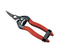 Ausonia - 31410 cisailles ciseaux pour agrumes cm 16