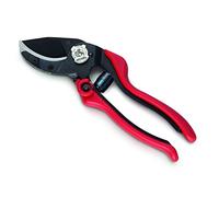 AUSONIA SÉCATEUR PROFESSIONNEL DE JARDIN POUR VIGNE SECATEUR DE JARDINAGE POUR OLIVIERS CM 20 CISEAUX DE JARDINIERE EVO 6