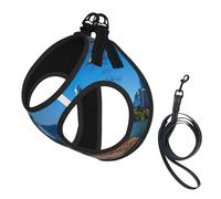 Austin Ensemble harnais et laisse pour chien, gilet réfléchissant et réglable pour chiens de petite, moyenne et grande taille