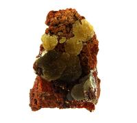 Austinite. 590.0 Ct. Ojuela Mine, Mapimí, Mexique.