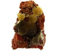 AUSTINITE - Pierre Naturelle en Provenance du Mexique, Ojuela Mine, Mapimí - Rare Minéral Vert Olive, Collection Minéralogie - 590.0 ct - Certificat d'Authenticité Inclus 60 x 45 x 43 mm Vert G