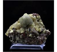 AUSTINITE - Pierre Naturelle en Provenance du Mexique, Ojuela Mine - Rare Minéral Vert Olive, Collection Minéralogie - 555.0 ct - Certificat d'Authenticité Inclus 55 x 36 x 35 mm Vert G
