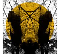 Austra – Feel It Break – CD – Import