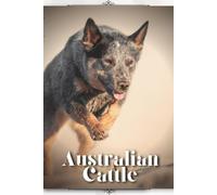 Australian Cattle: Dog Breed Overview And Guide