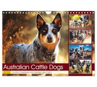 Australian Cattle Dogs. Echte Cowboys und Helden der Farm (Wandkalender 2026 DIN A4 quer), CALVENDO Monatskalender: Australischer Cattle Dogs bei ihrer Arbeit und dem Leben auf der Farm