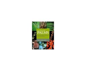 Australian Palms: Biogeography, Ecology And Systematics