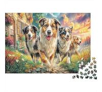 Australian Shepherd 1000 Pièces Puzzle À Assembler Papier Recyclable Dog Pack Puzzle pour Adultees Cadeau Amusant Et Activité for Home Excellent Cadeau Idea pour Hommes 52x38cm/1000pcs