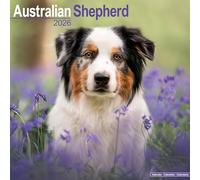 Australian Shepherd Calendar 2026 Square Dog Breed Wall Calendar - 16 Month