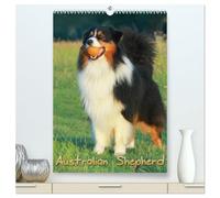 Australian Shepherd (hochwertiger Premium Wandkalender 2026 DIN A2 hoch), Kunstdruck in Hochglanz: Schöne Aufnahmen aus dem Leben von Australian Shepherd