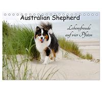 Australian Shepherd - Lebensfreude auf vier Pfoten (Tischkalender 2026 DIN A5 quer), CALVENDO Monatskalender: Die Abenteuer eines powervollen Australian Shepherd
