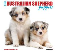 Willow Creek Press, Calendrier mural 2027 Motif chiots bergers australiens