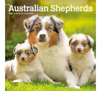 Australian Shepherds | 2027 7 x 14 Inch (Hanging) Monthly Mini Wall Calendar | BrownTrout | Animals Dog Breeds