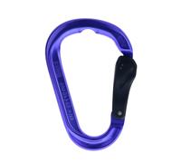 Austrialpin Rondo Slide Autlock Mousqueton HMS Taille unique Violet