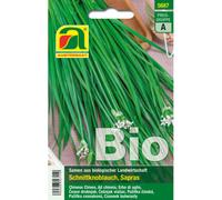 AUSTROSAAT Ail Chinois Bio - 1 sachet