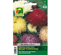 AUSTROSAAT Aster de Chine "Herzogin" Mischung - 1 sachet