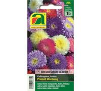 AUSTROSAAT Aster de Chine "Prinzess Mischung" - 1 sachet