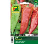 AUSTROSAAT Austroselect - Poivron Bio "Austrocapi" - 1 sachet