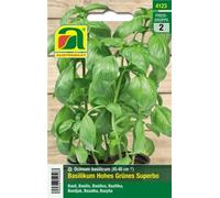 AUSTROSAAT Basilic "Hohes Grünes Superbo" - 1 sachet