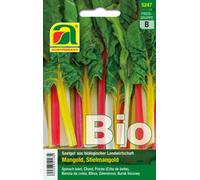 AUSTROSAAT Bette Bio "Fireworks" - 1 sachet