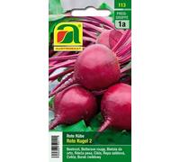 AUSTROSAAT Betterave "Rote Kugel 2" - 1 sachet