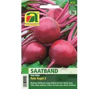 AUSTROSAAT Betterave Rouge, Bande de Semis - 1 sachet