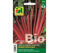 AUSTROSAAT Blette à Cardes Rouges Bio "Rhubarb Chard" - 1 sachet