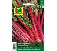 AUSTROSAAT Blette à Cardes Rouges "Rhubarb Chard" - 1 sachet