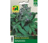 AUSTROSAAT Bourrache - 1 sachet