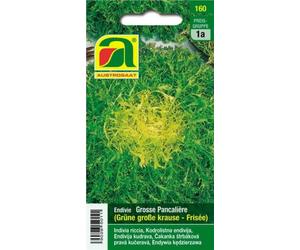 AUSTROSAAT Chicorée Frisée "Grosse Pancalière" - 1 sachet