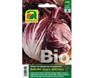 AUSTROSAAT Chicorée Radicchio Bio "Palla rossa 3" - 1 sachet