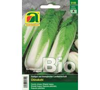 AUSTROSAAT Chou Chinois Bio "Granaat" - 1 sachet