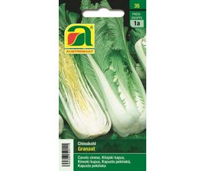 AUSTROSAAT Chou de Chine "Granaat" - 1 sachet