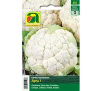 AUSTROSAAT Chou-Fleur "Alpha 7" - 1 sachet