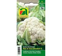 AUSTROSAAT Chou-Fleur "Bola de nieve" - 1 pcs