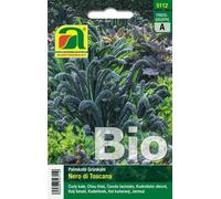 AUSTROSAAT Chou Palmier Bio "Nero di Toscana" - 1 sachet
