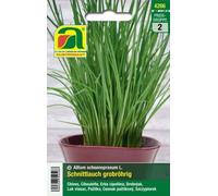 AUSTROSAAT Ciboulette - 1 sachet