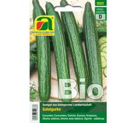 AUSTROSAAT Concombre Bio "Telegraph Improved" - 1 sachet