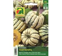 AUSTROSAAT Courgette "Sweet Dumpling" - 1 sachet