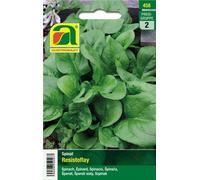 AUSTROSAAT Épinard "Resistoflay" - 1 sachet