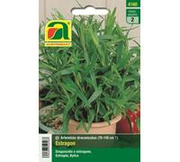 AUSTROSAAT Estragon - 1 sachet