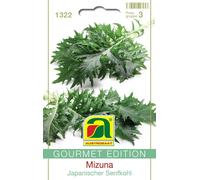 AUSTROSAAT GOURMET EDITION - Moutarde Japonaise "Mizuna" - 1 sachet