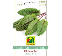 AUSTROSAAT GOURMET EDITION - Oseille Sanguine "Bloody Dock" - 1 sachet