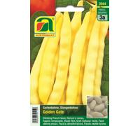 AUSTROSAAT Haricot à Rames "Golden Gate" - 22 g