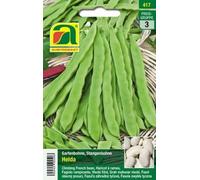 AUSTROSAAT Haricot à Rames "Helda" - 1 sachet