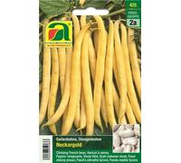 AUSTROSAAT Haricot à Rames "Neckargold" - 1 sachet