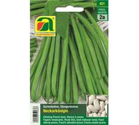 AUSTROSAAT Haricot à Rames "Neckarkönigin" - 1 sachet